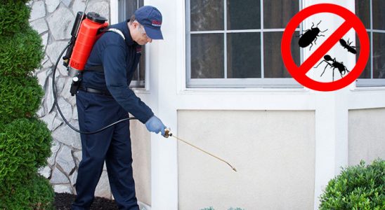 Ardahan Kene İlaçlama böcek ilaçlama ve haşere kontrolü — ilaclama-tr.com